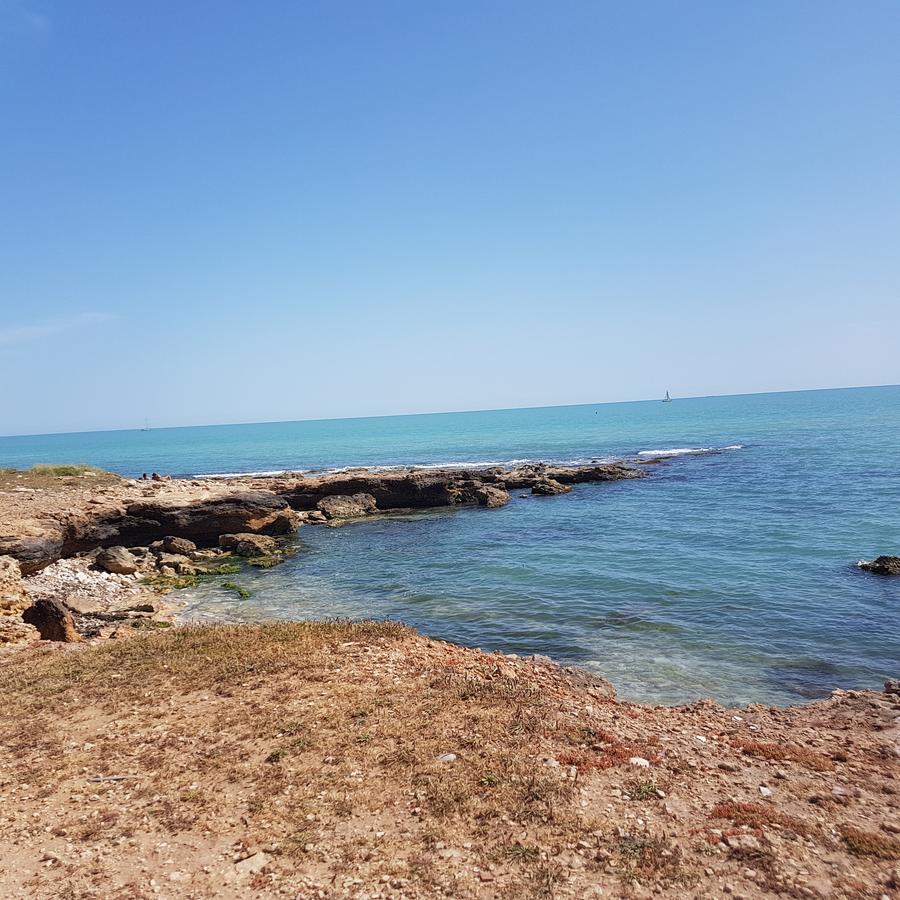 Casa Vacanze Il Giardino Dei Girasoli Marina di Ragusa Eksteriør bilde